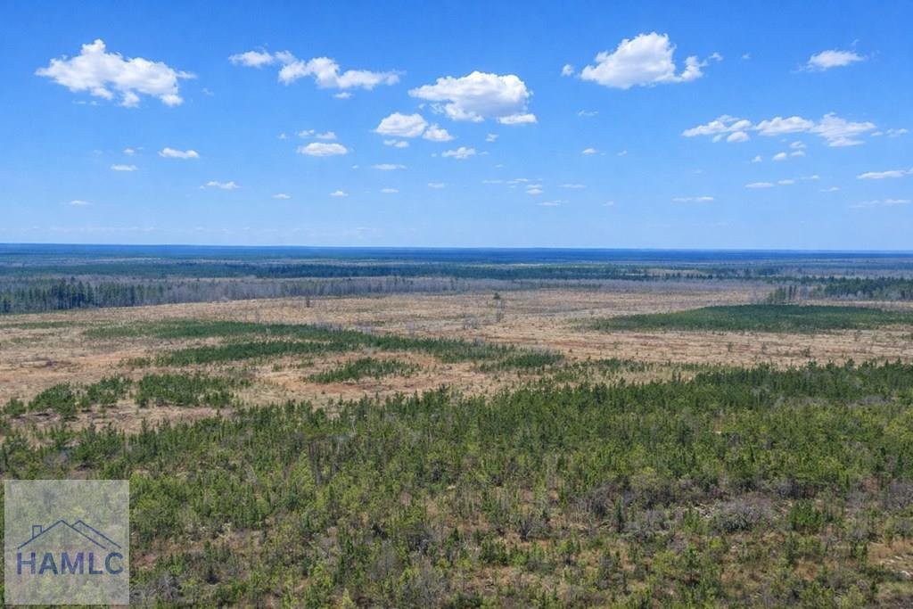 Land in Glennville, Georgia, United States 3 - 17911352