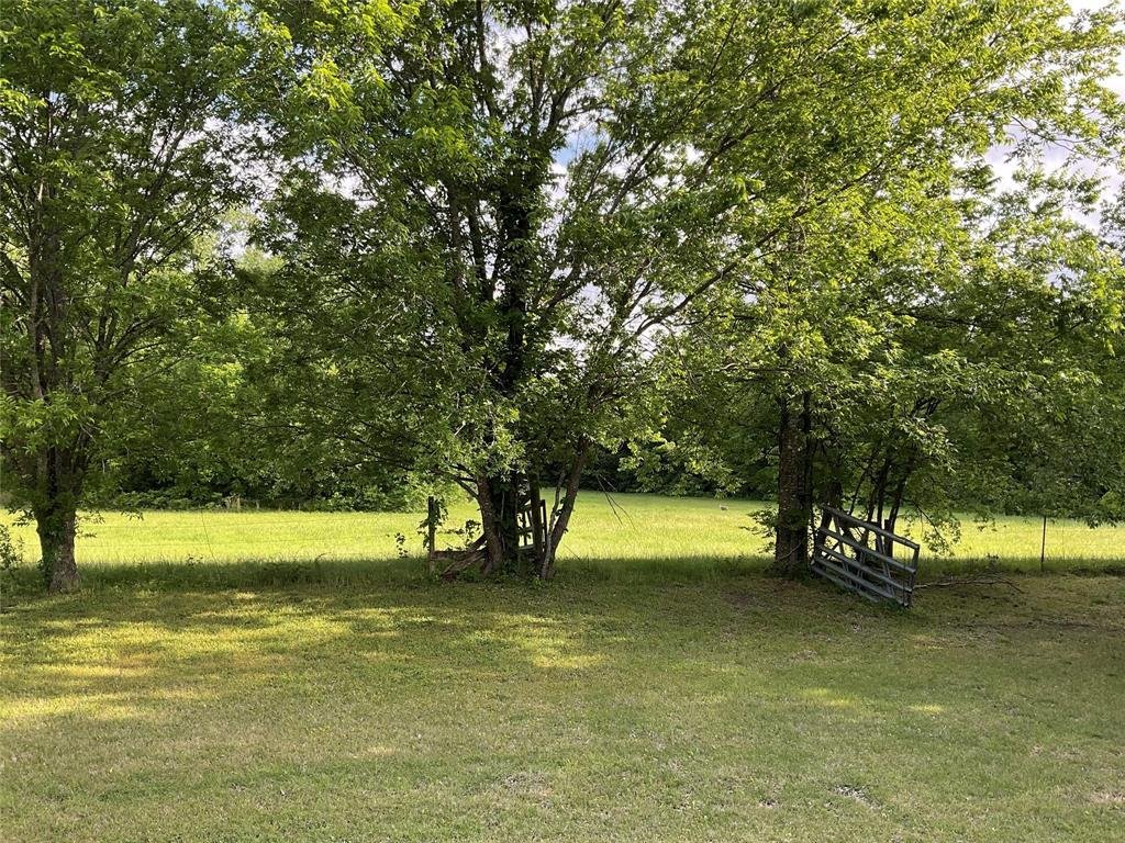 Casa a Anna, Texas, Stati Uniti 2 - 17906066