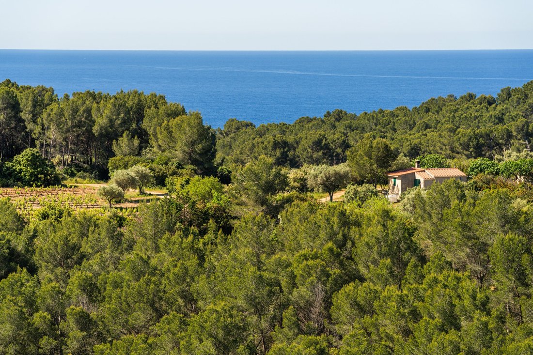 House in Saint-Cyr-sur-Mer, Provence-Alpes-Côte d'Azur, France 3 - 17911173