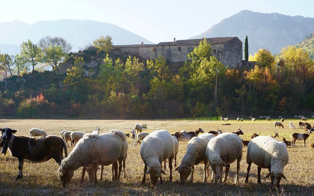 House in Centre Ville - La Baume - Le Gand, Sisteron, France 1 - 17910910