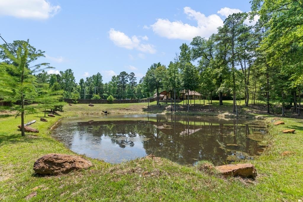 House in Longview, Texas, United States 3 - 17908726