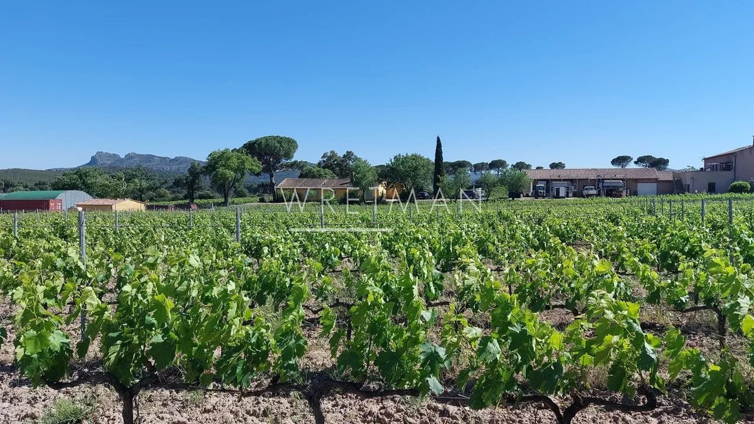 Farm Ranch in La Motte, Provence-Alpes-Côte d'Azur, France 1 - 17907780