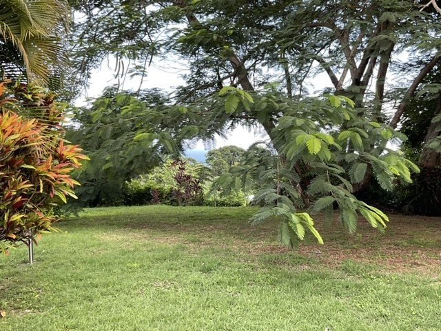 Villa in Sainte-Marie, La Trinité, Martinique 3 - 17912525