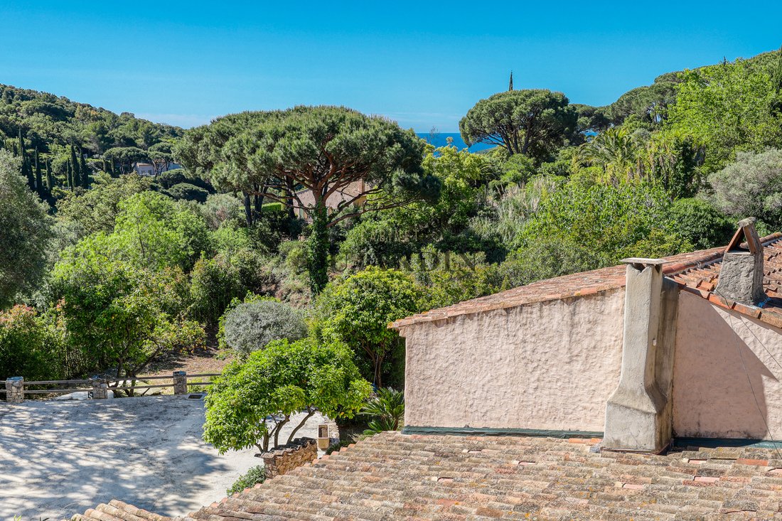 Ramatuelle, Provence-Alpes-Côte d'Azur, France 3 - 17910923