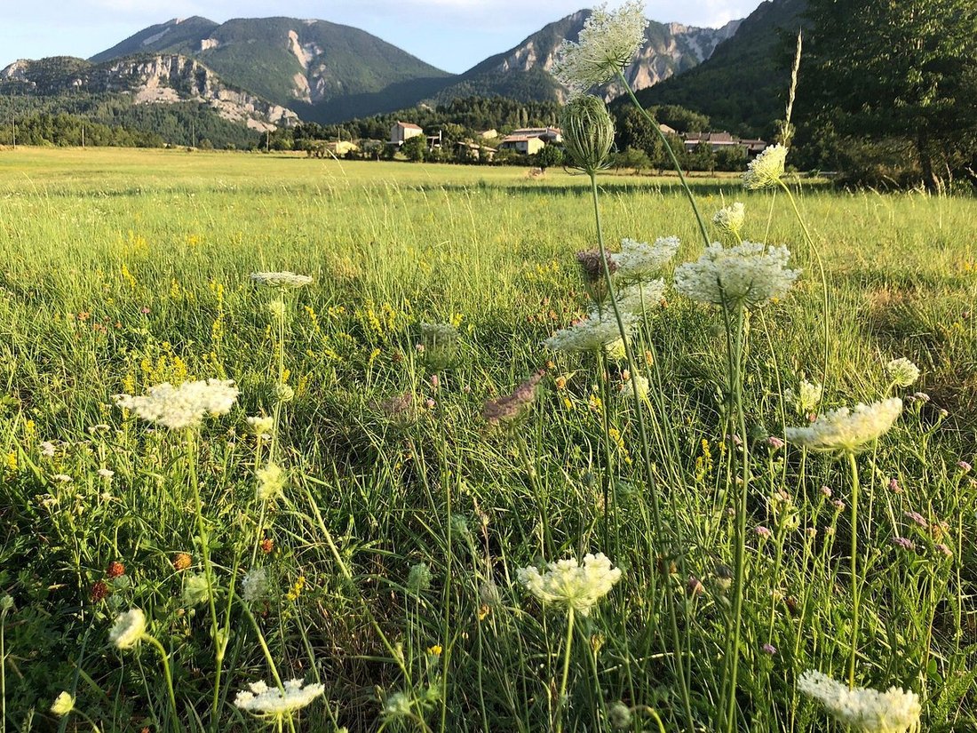 House in Centre Ville - La Baume - Le Gand, Sisteron, France 4 - 17910910