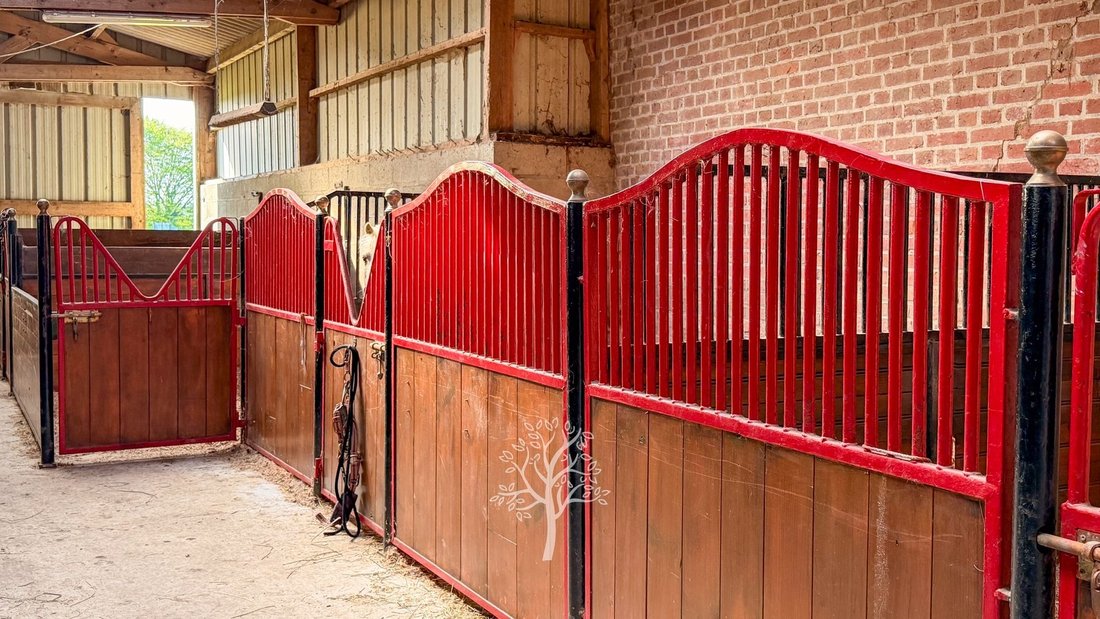 Estate in Roncherolles-en-Bray, Normandy, France 4 - 17907159