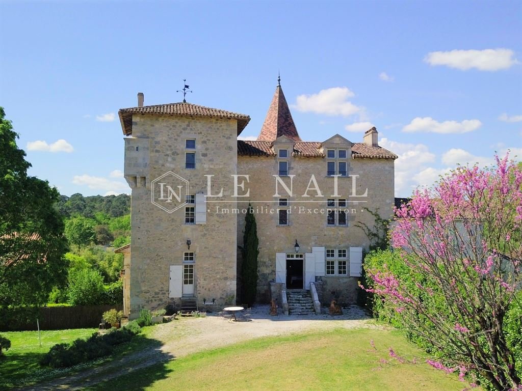 Castle in Grand Nerac, Nerac, France 1 - 17908158