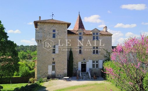 Castle in Grand Nerac, Nerac, France 1
