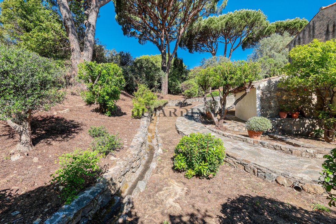 Ramatuelle, Provence-Alpes-Côte d'Azur, France 2 - 17910923