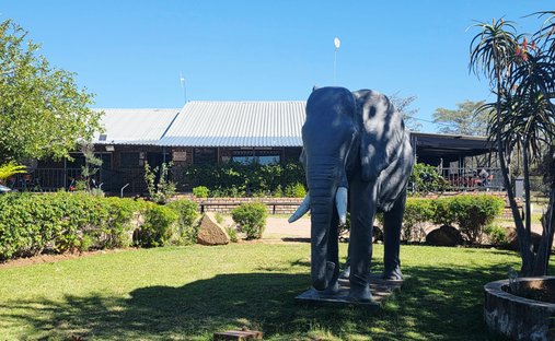 Farm Ranch in Mookgopong, Bosveld, South Africa 1