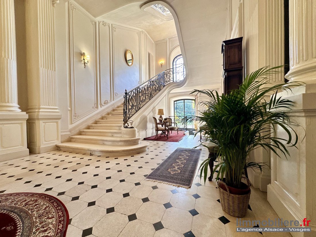 Apartment in Centre Ville, Saint-Die-des-Vosges, France 4 - 17912271