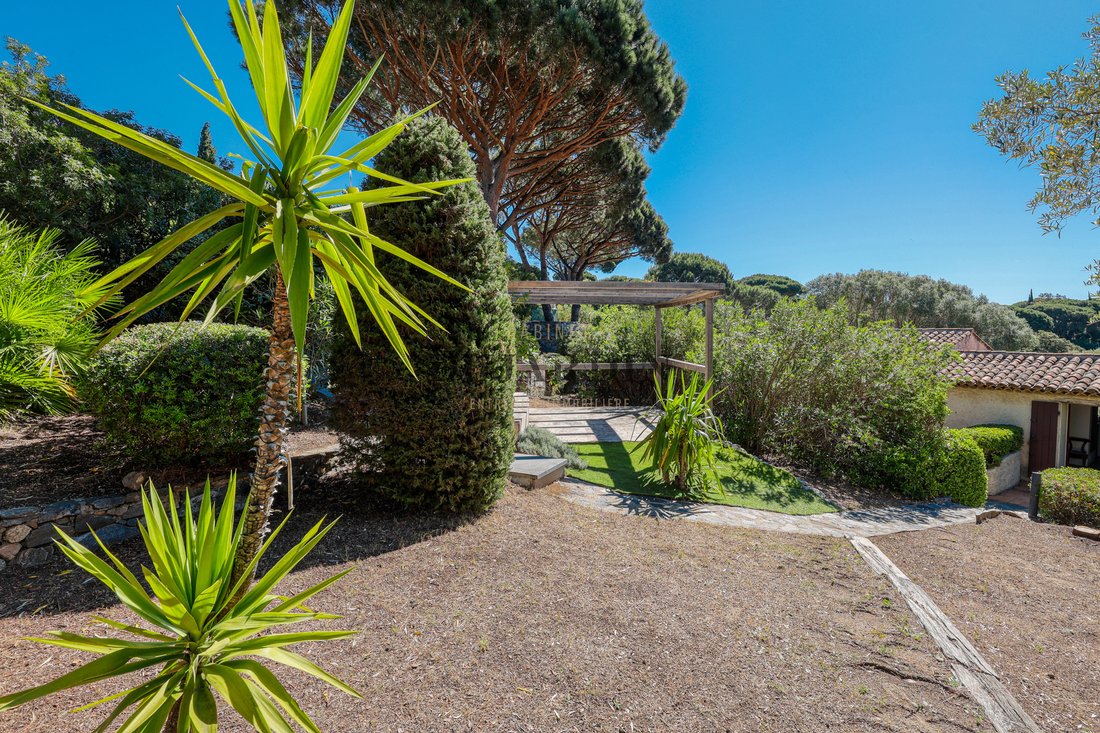 Ramatuelle, Provence-Alpes-Côte d'Azur, France 5 - 17910923