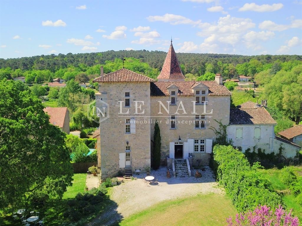 Castle in Grand Nerac, Nerac, France 3 - 17908158