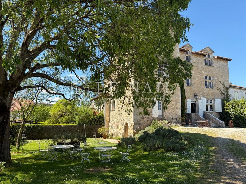 Castle in Grand Nerac, Nerac, France 2 - 17908158