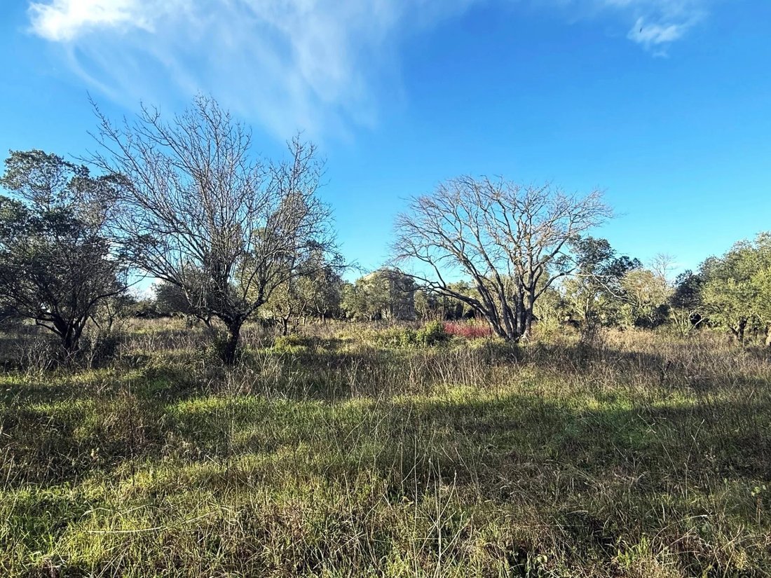 Land in Uzès, Occitania, France 4 - 17907672
