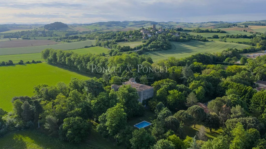 Castle in Plaigne, Occitania, France 4 - 17668891