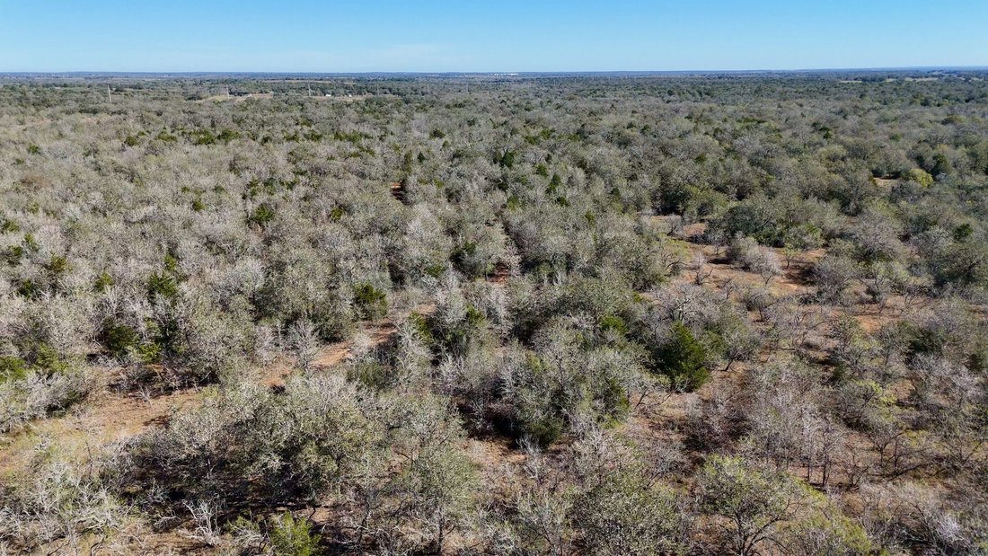 Land in Harwood, Texas, United States 4 - 17907997