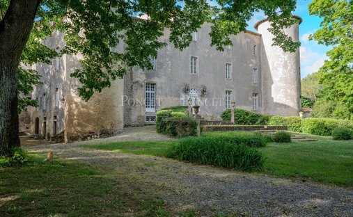 Castle in Plaigne, Occitania, France 1