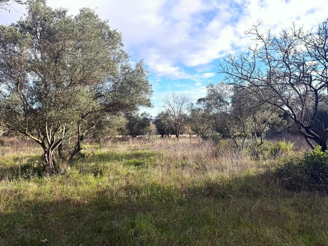 Land in Uzès, Occitania, France 1 - 17907671