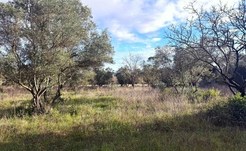 Land in Uzès, Occitania, France 1