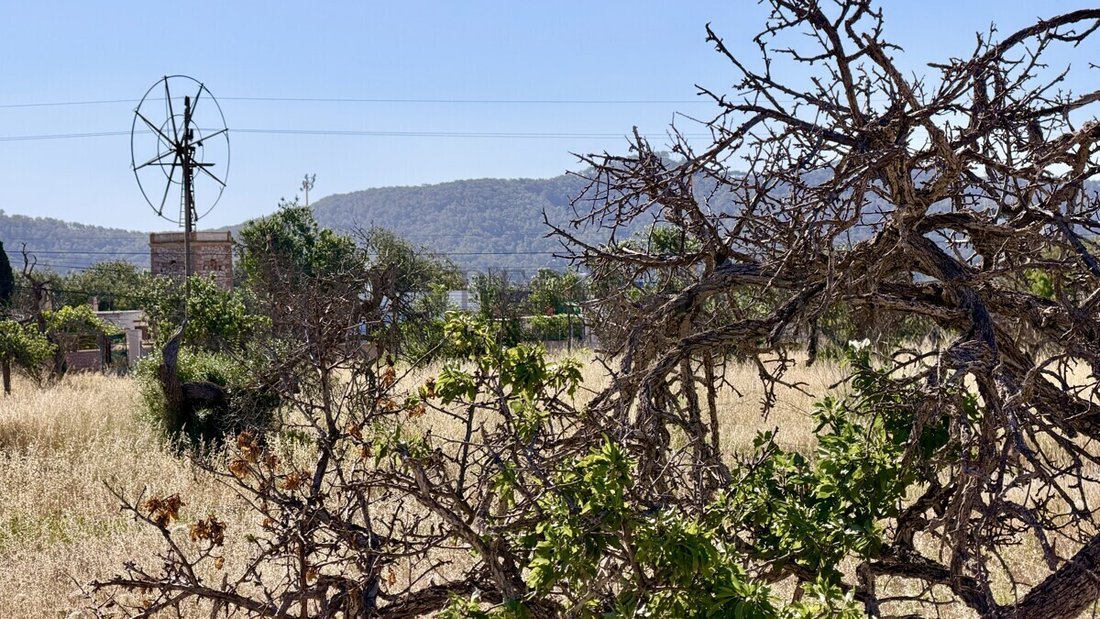 Land in Sant Josep de sa Talaia, Balearic Islands, Spain 5 - 17910803