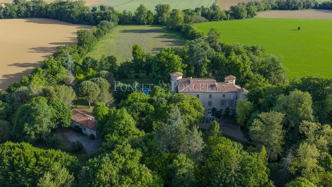 Castle in Plaigne, Occitania, France 3 - 17668891