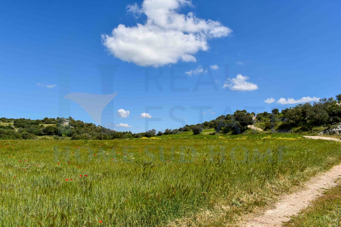 Villa in Center, Noto, Sicily 5 - 13401103