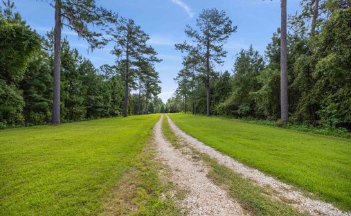 House in Tallahassee, Florida, United States 1