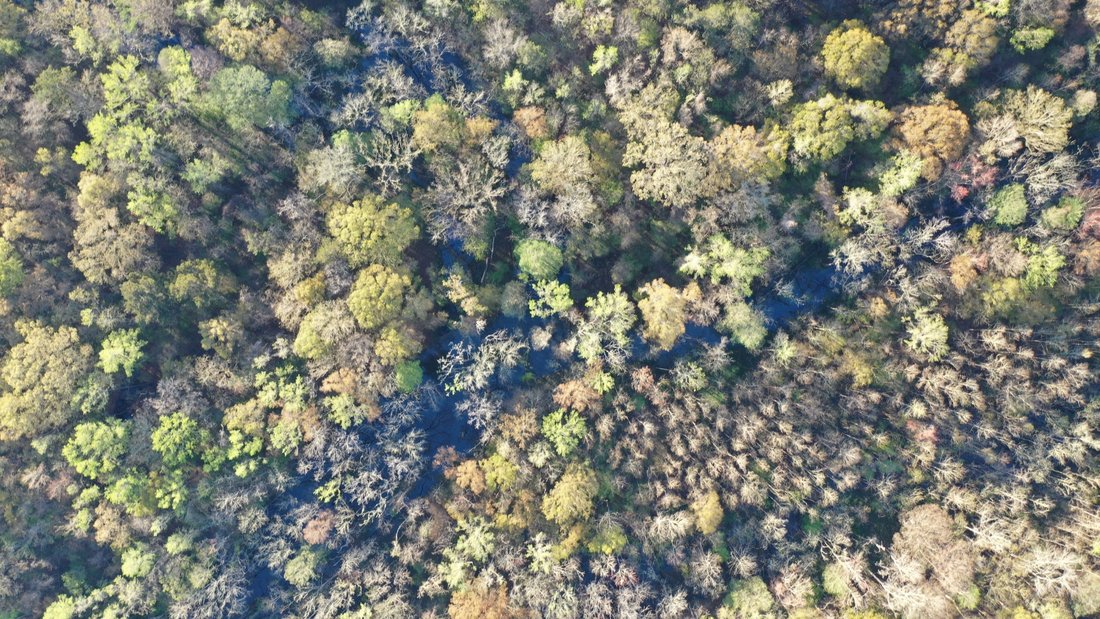 Land in North Charleston, South Carolina, United States 3 - 17914217
