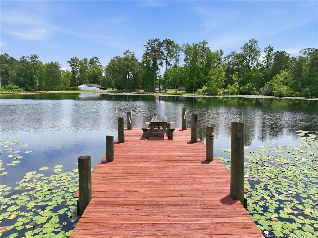 Farm Ranch in Autryville, North Carolina, United States 5 - 17913207