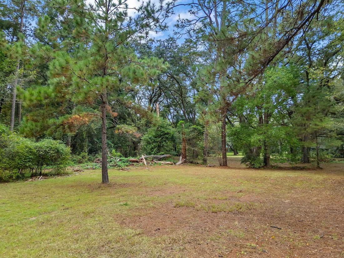 House in Tallahassee, Florida, United States 4 - 17913183