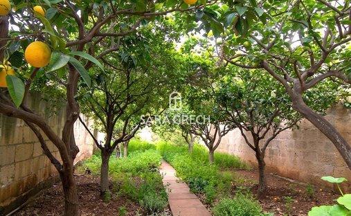 Tenuta a Zeitun, Malta 1