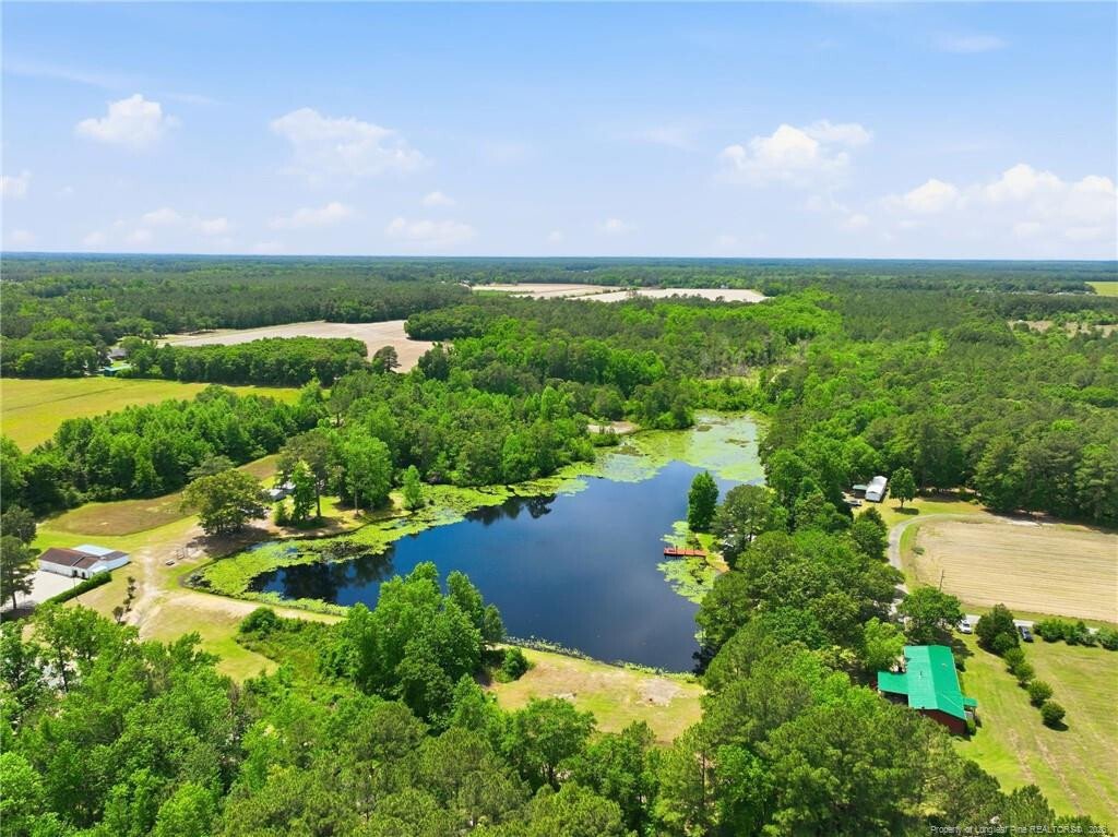 Farm Ranch in Autryville, North Carolina, United States 3 - 17913207