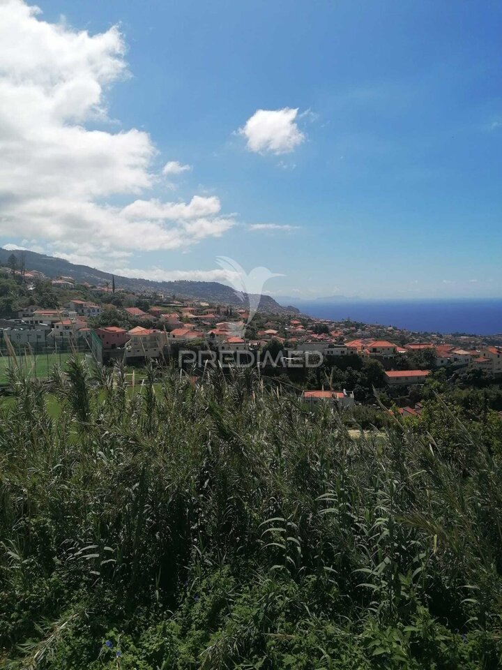 Farm Ranch in Santo Antonio, Madeira, Portugal 4 - 17914299