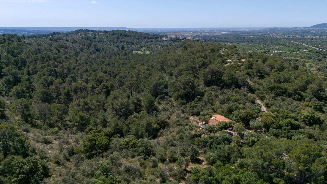 Land in Bunyola, Balearic Islands, Spain 2 - 17914617