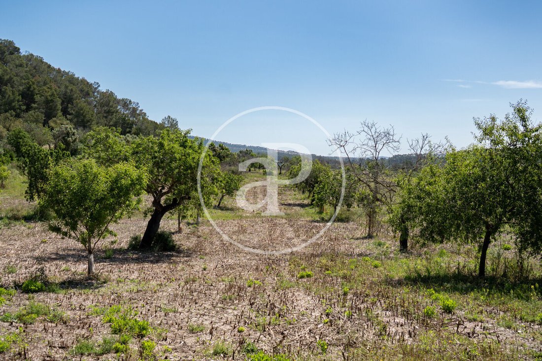 Land in Vilafranca de Bonany, Balearic Islands, Spain 5 - 17914817