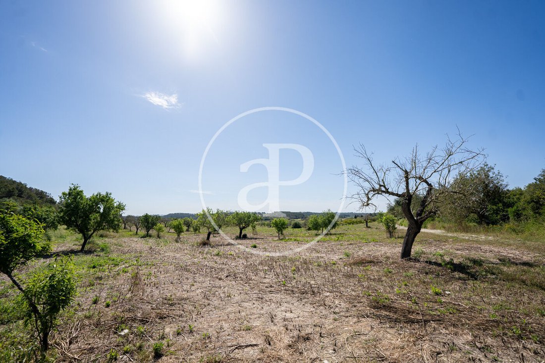 Land in Vilafranca de Bonany, Balearic Islands, Spain 4 - 17914817