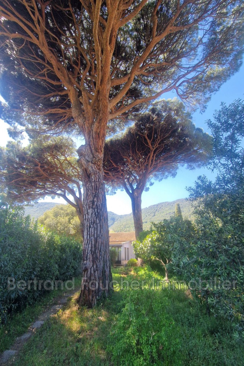 Villa in Sud, Cavalaire-sur-Mer, France 2 - 17914500