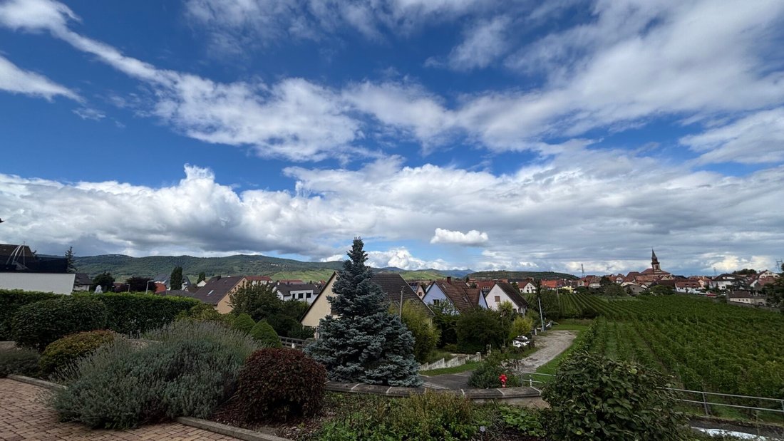 Villa in Sud Ouest, Wintzenheim, France 2 - 17914877