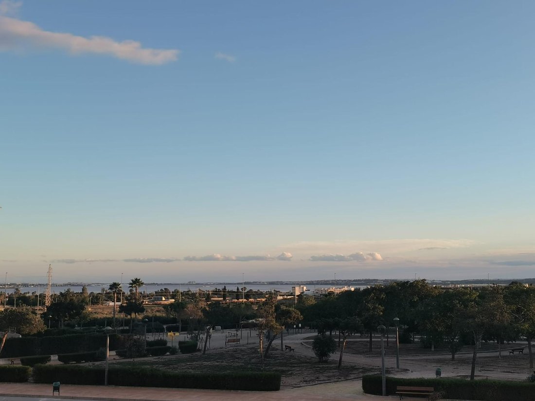 Villa in Los Montesinos, Valencian Community, Spain 3 - 17914809