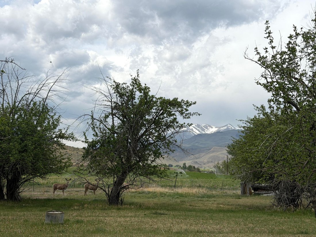 Land in Challis, Idaho, United States 3 - 17915065