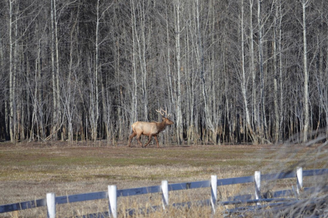 Land in Ketchum, Idaho, United States 5 - 17915591