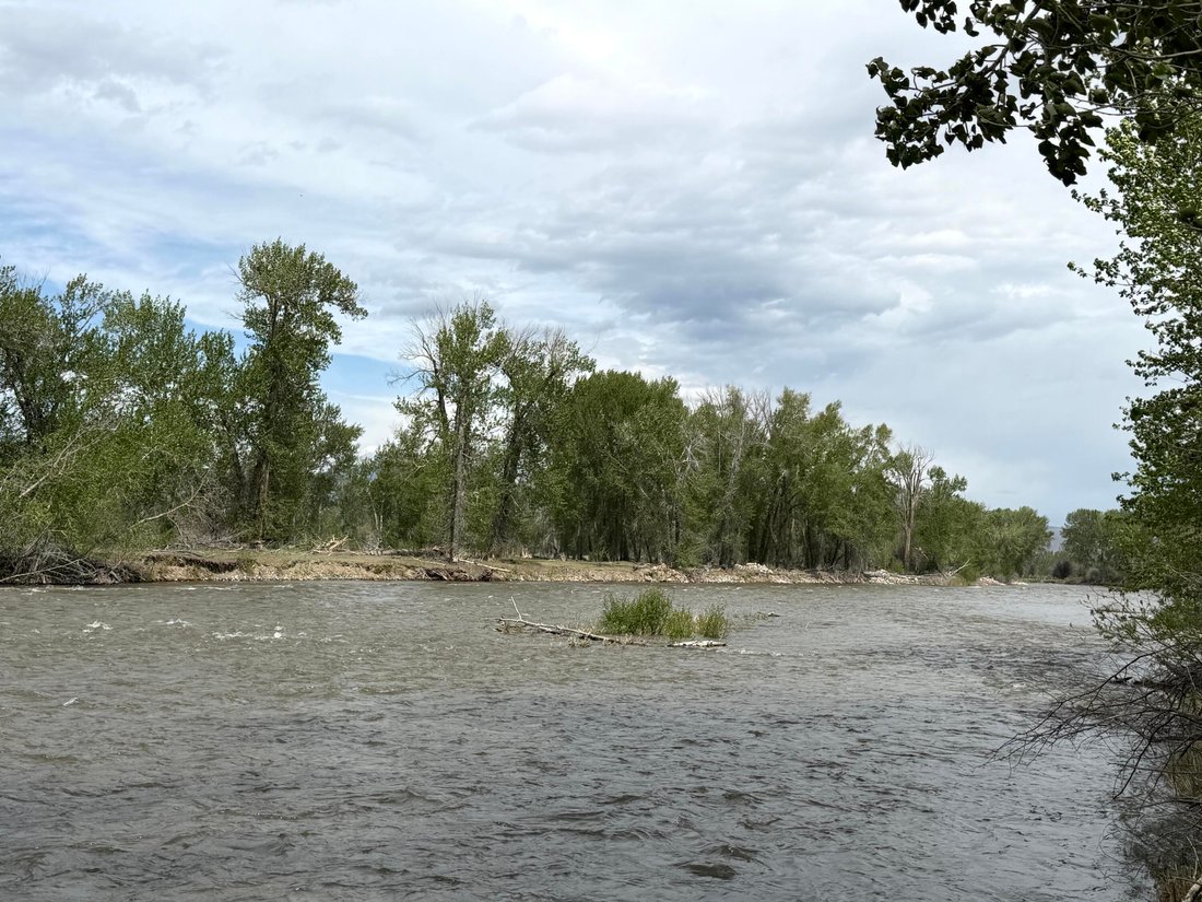 Land in Challis, Idaho, United States 5 - 17915065