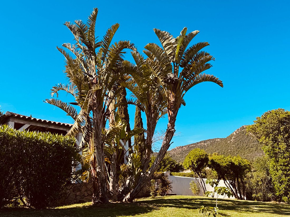 Villa in Sainte-Lucie-de-Tallano, Corsica, France 3 - 17914948