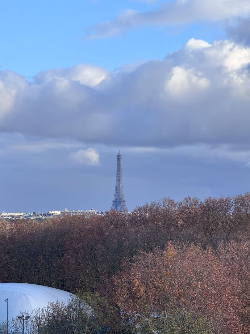 Apartment in Centre Ville, Suresnes, France 3 - 17915039