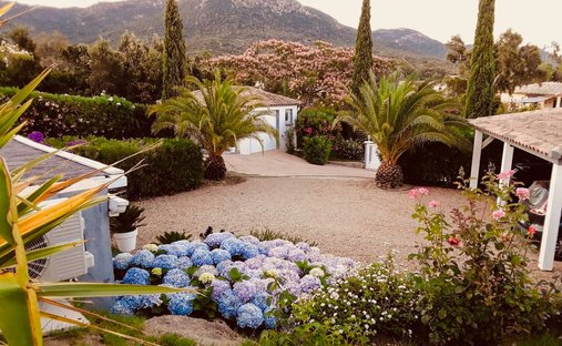 Villa in Sainte-Lucie-de-Tallano, Corsica, France 1
