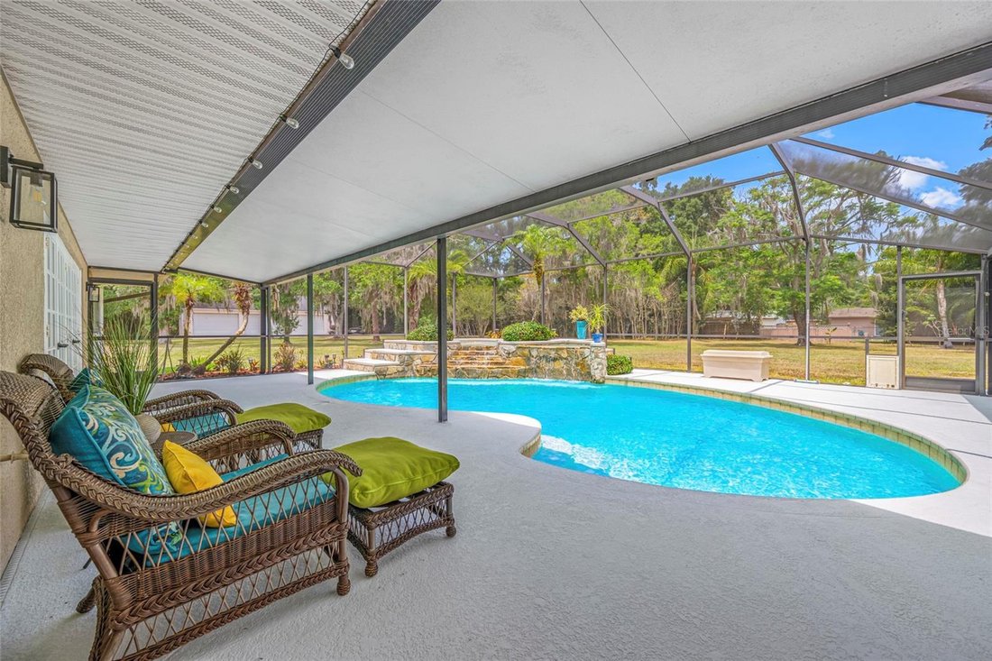 House in Tampa, Florida, United States 5 - 17855045