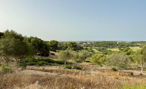 Sotogrande, San Roque, Andalusia 1