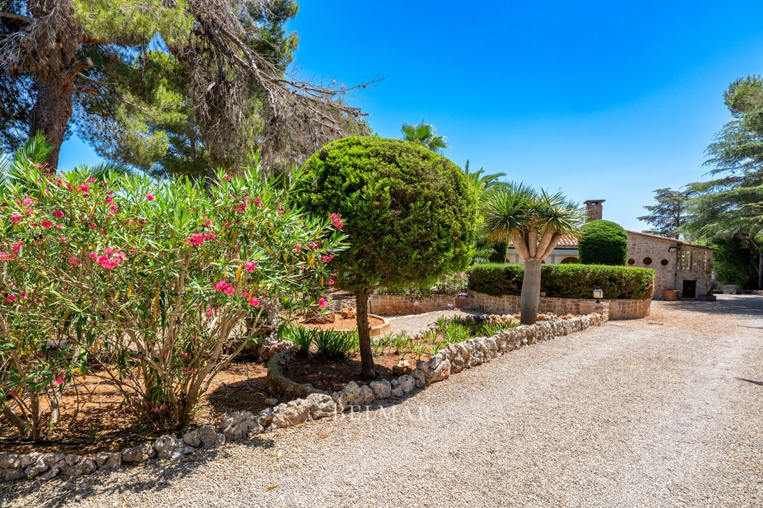 Finca in Cala Murada, Manacor, Balearic Islands 4 - 17916444