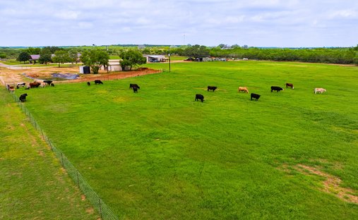 House in Moore, Texas, United States 1